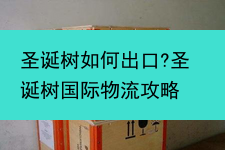 圣诞树如何出口?圣诞树国际物流攻略