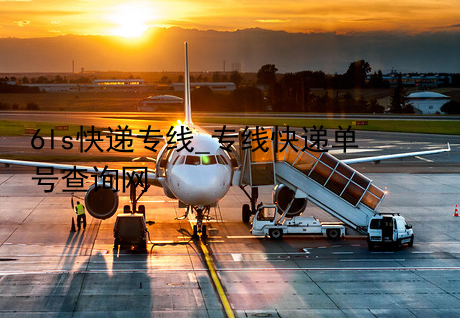 6ls快递专线_专线快递单号查询网