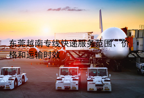 东莞越南专线快递服务范围、价格和运输时效