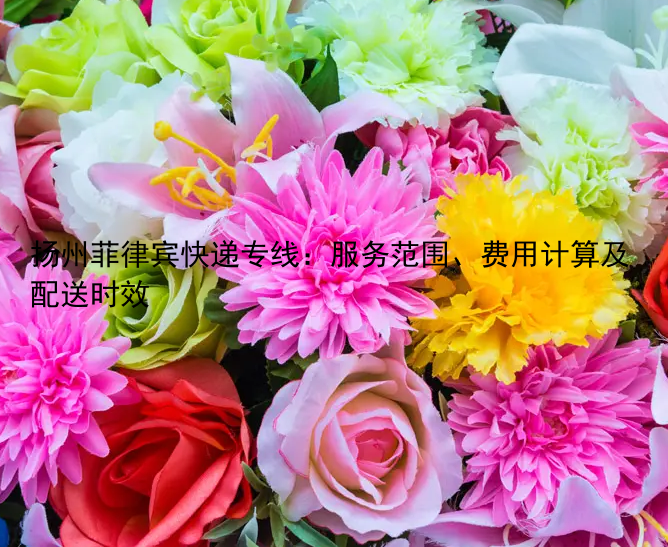 扬州菲律宾快递专线：服务范围、费用计算及配送时效