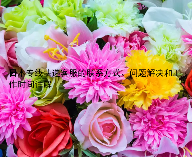 日本专线快递客服的联系方式、问题解决和工作时间详解
