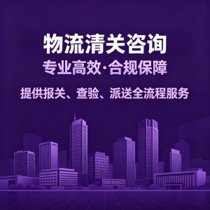 北京清关 1 对 1 业务咨询